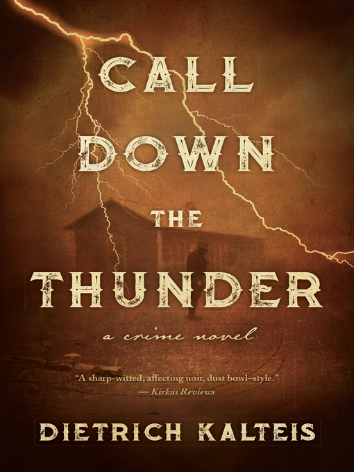 Title details for Call Down the Thunder by Dietrich Kalteis - Available